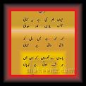 Atiq u rehamin 01 * 22.03.2008 * 375 x 895 * (37KB)